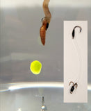 Bait Stingers (2 per pack)